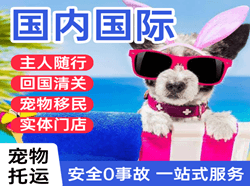 黄花航空物流国际宠物托运 【国